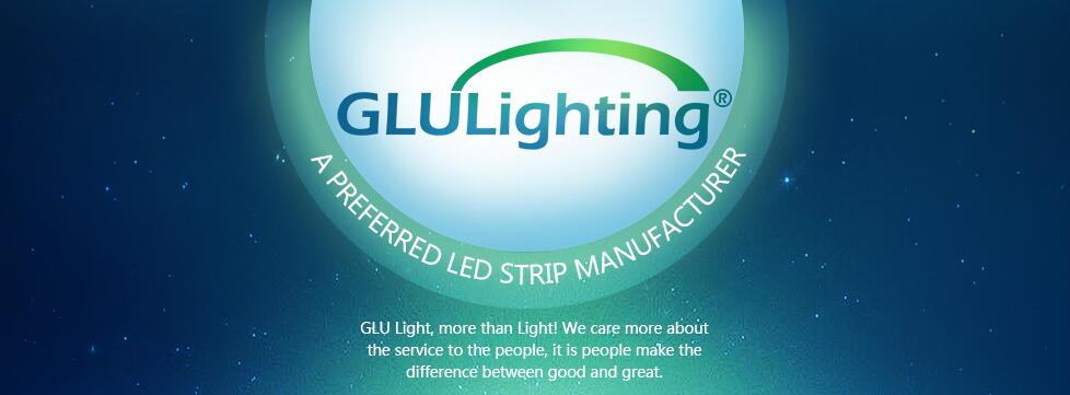 DC12/24V 50-55lm 2835 Samsung led strip with 60 leds/m 