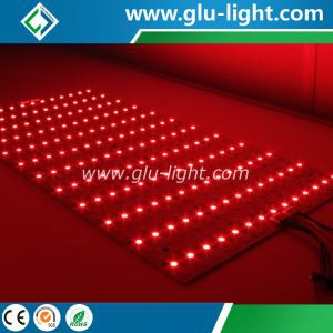 Kitajska Velikost po meri/dolžina 12V/24V RGBWWW CCT zatemnitev 5 barv v 1 mat led za film/TV oddajo