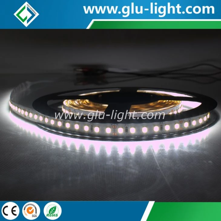 High quality samsung 2835 led tape light with 5 year warranty